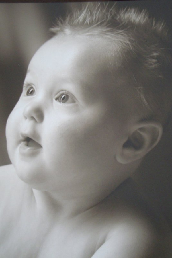 Bullet Models model ID: 2186