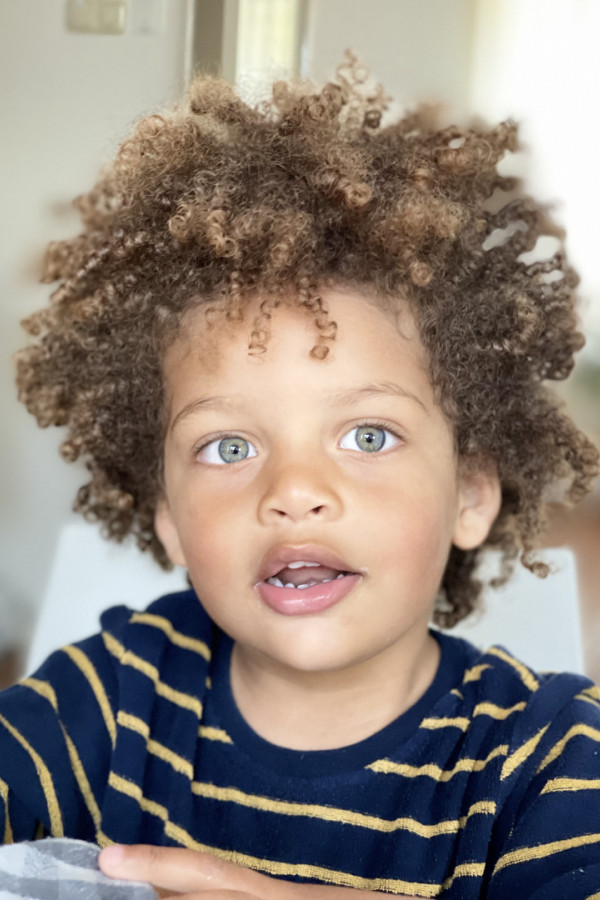 Bullet Models model ID: 16178