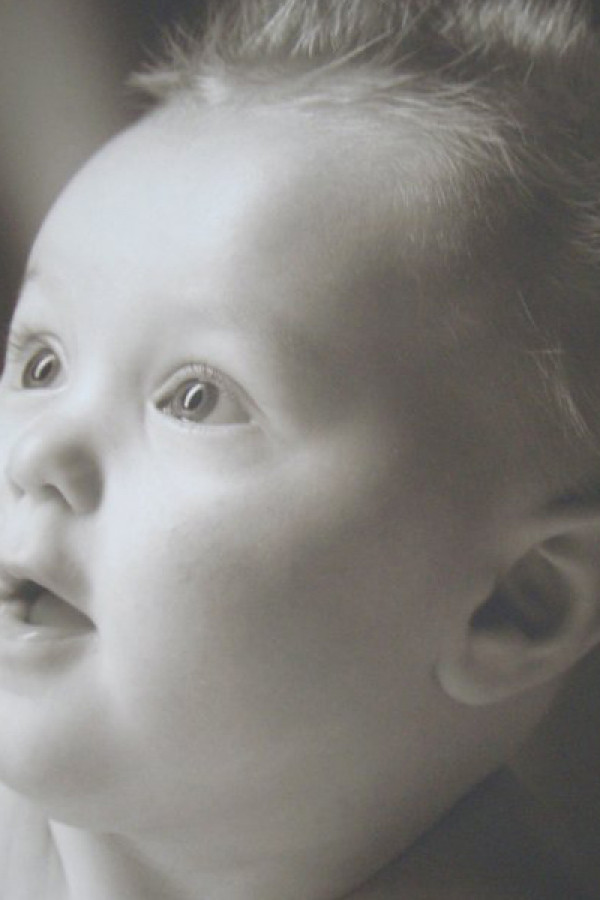 Bullet Models model ID: 2186