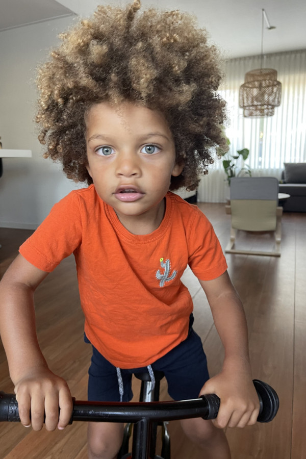 Bullet Models model ID: 16178