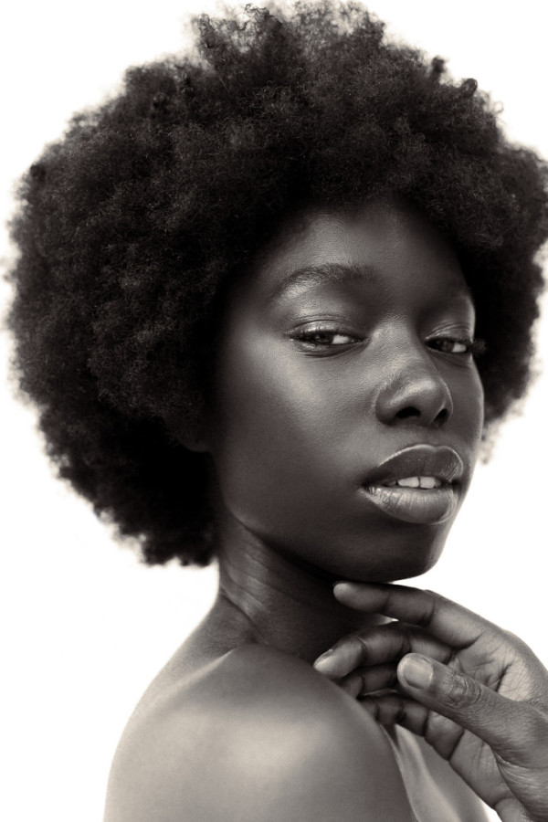 Bullet Models model ID: 16517