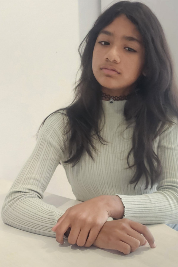 Bullet Models model ID: 7895