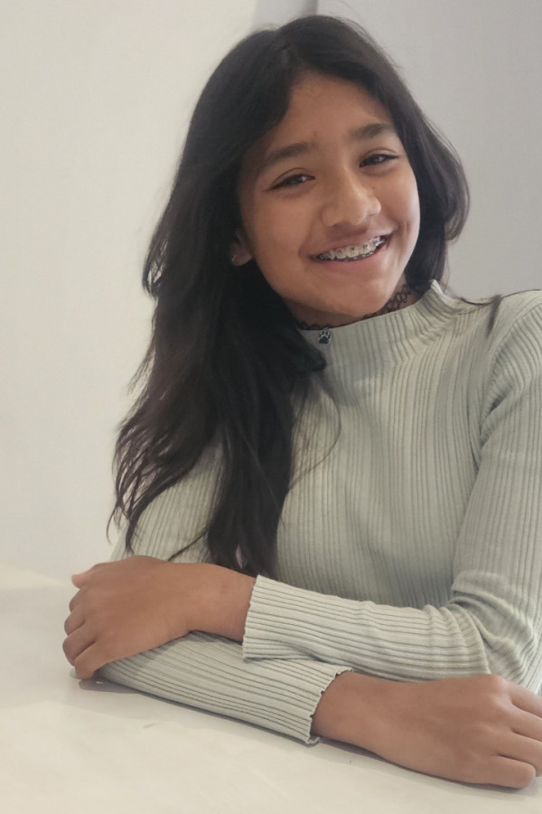 Bullet Models model ID: 7895