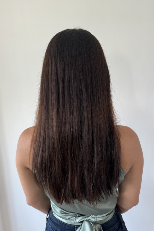 Bullet Models model ID: 19011