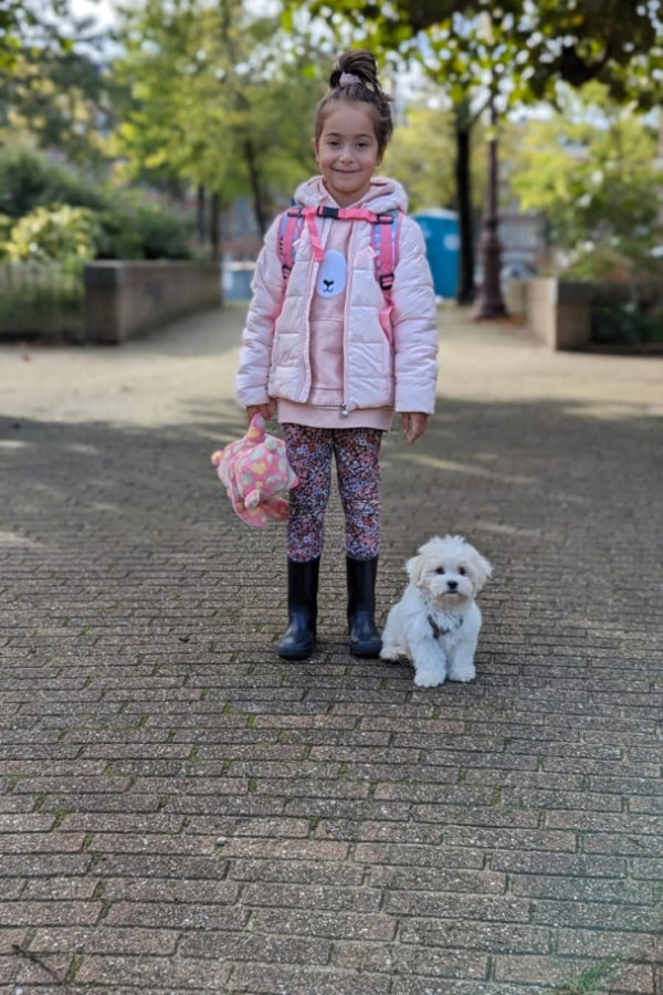 Bullet Models model ID: 13170