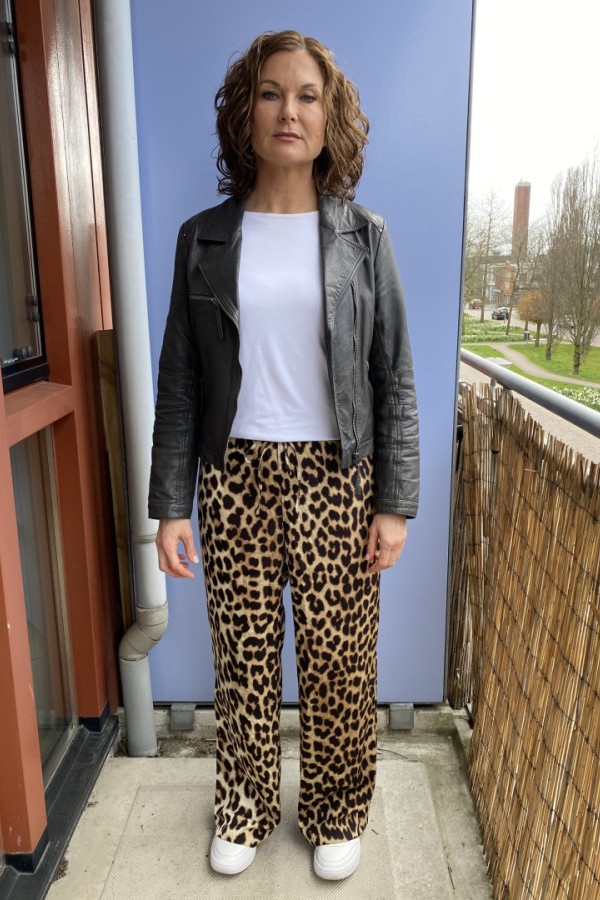 Bullet Models model ID: 9156