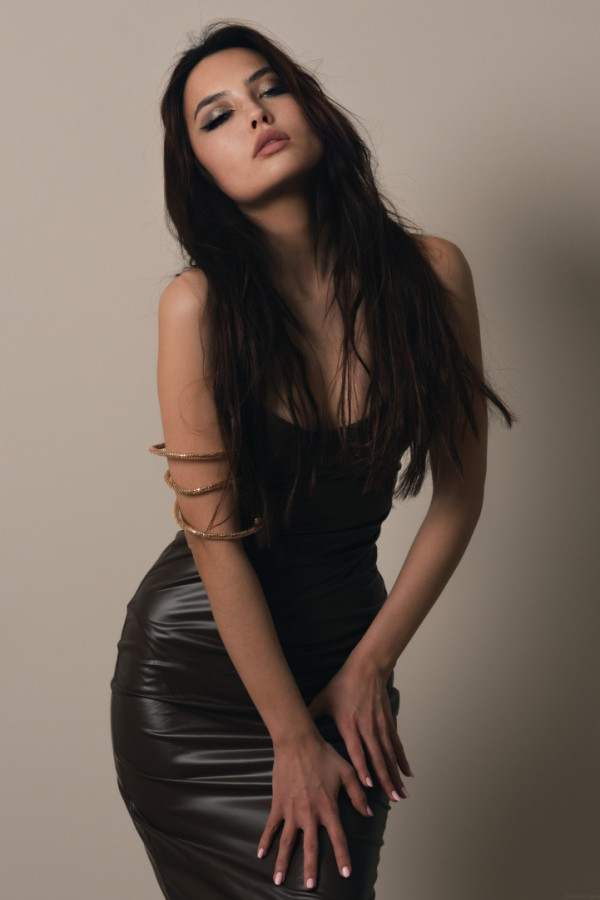 Bullet Models model ID: 15946
