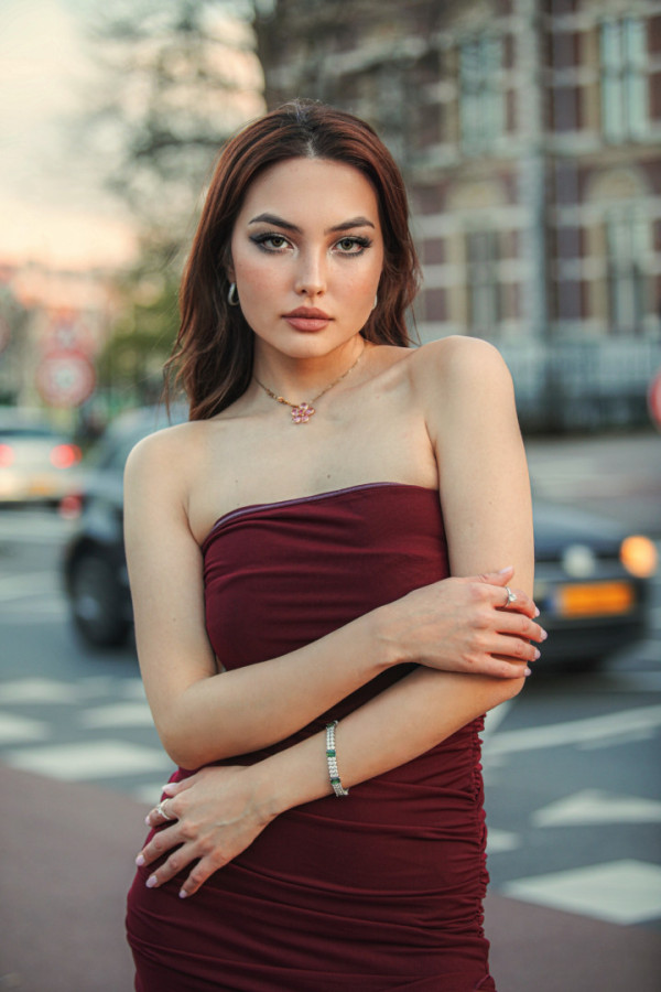 Bullet Models model ID: 15946