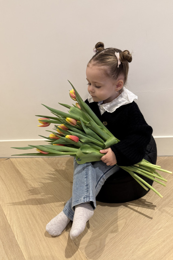 Bullet Models model ID: 20051