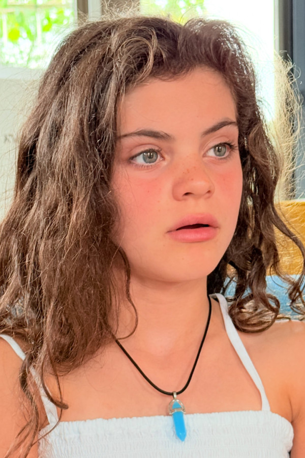 Bullet Models model ID: 14682