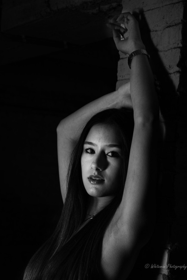 Bullet Models model ID: 8602