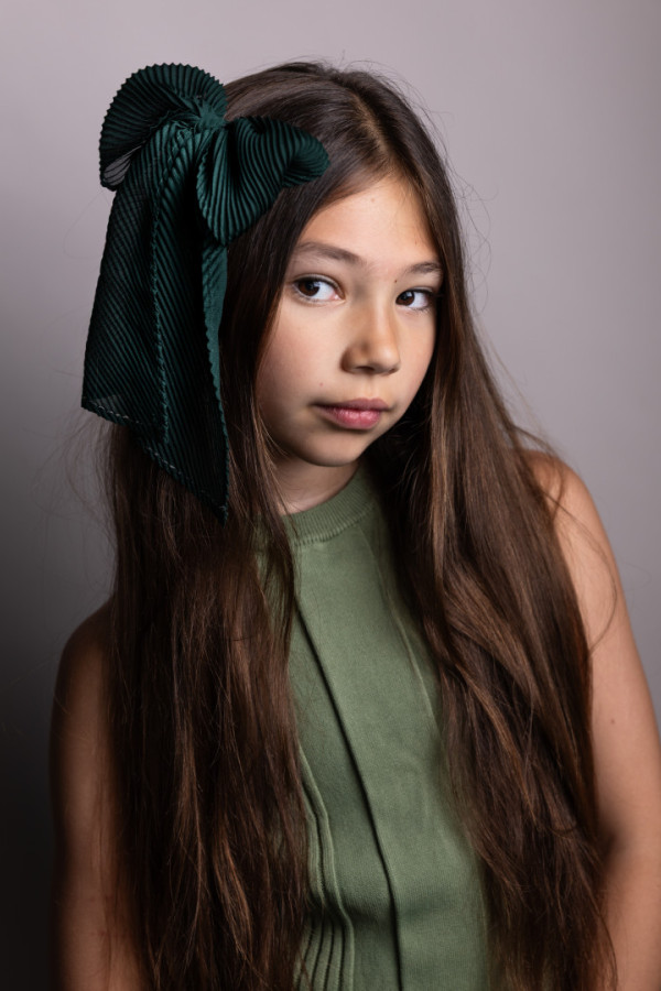 Bullet Models model ID: 20183