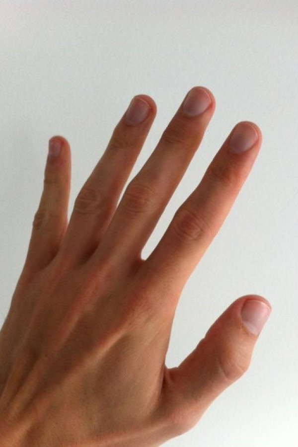 Bullet Models model ID: 20233