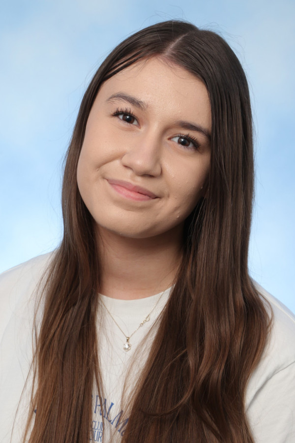 Bullet Models model ID: 13884