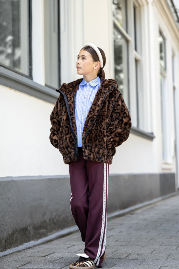 Bullet Models model ID: 17694