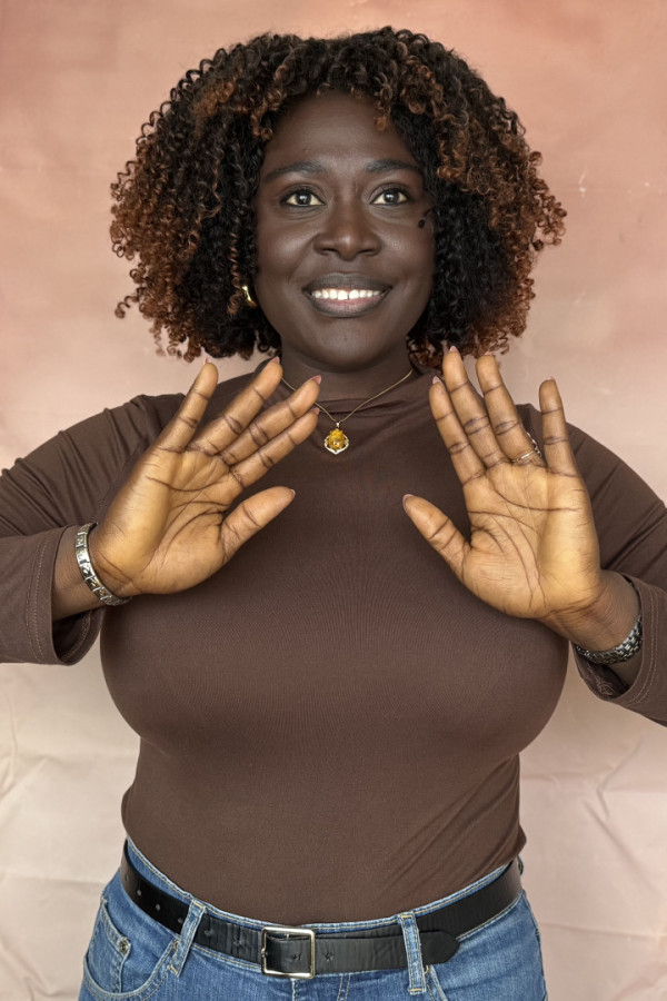 Bullet Models model ID: 20019