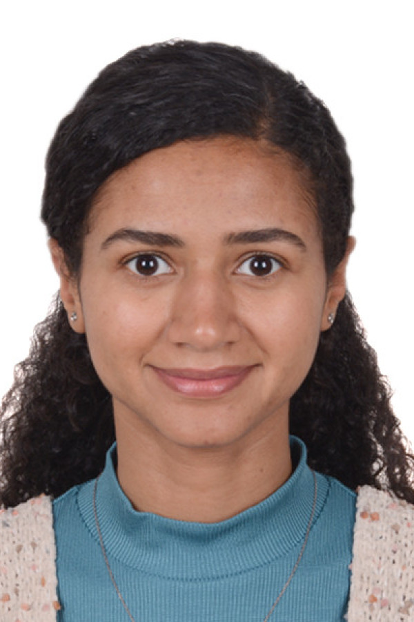 Bullet Models model ID: 20256