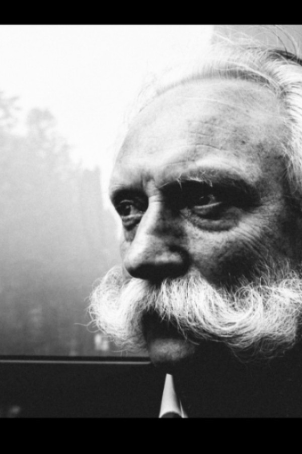 Bullet Models model ID: 7529