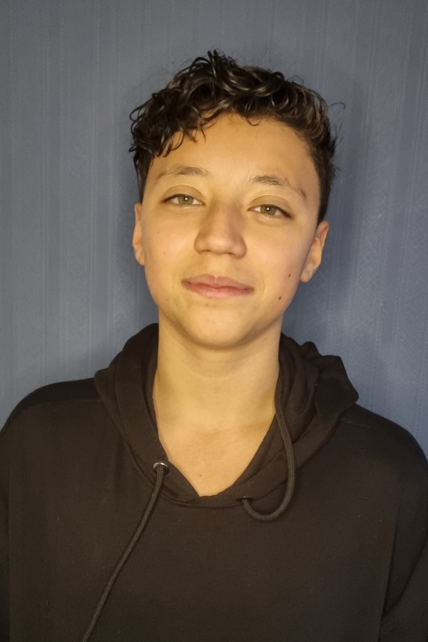 Bullet Models model ID: 7660