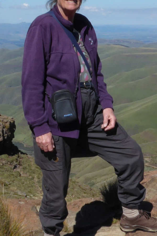 Bullet Models model ID: 4893