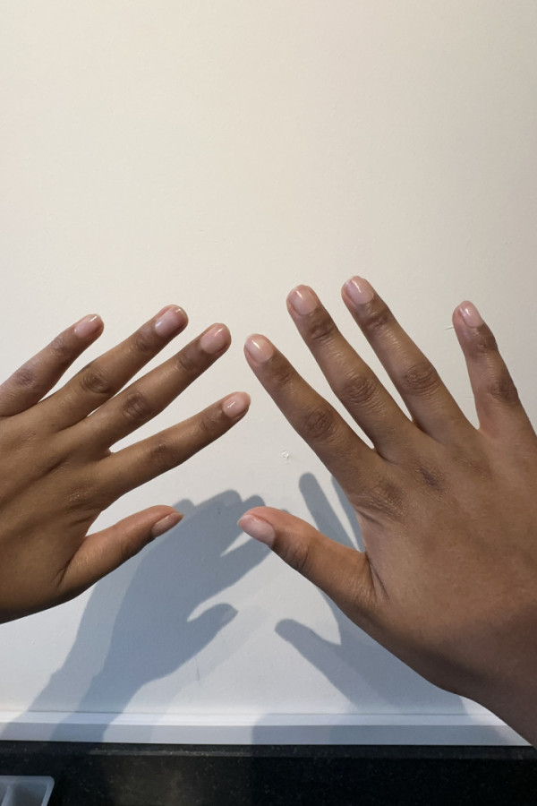 Bullet Models model ID: 9646