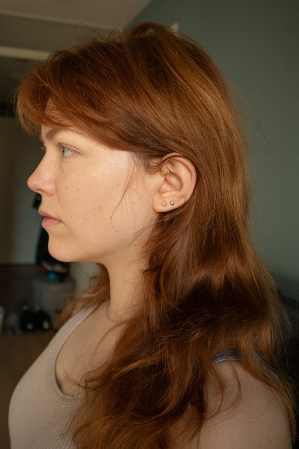 Bullet Models model ID: 14923