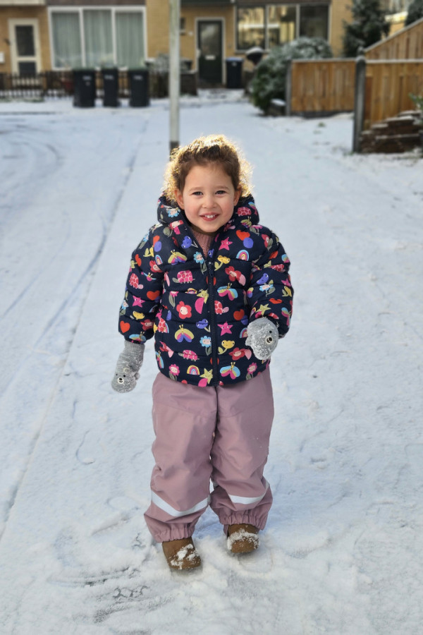 Bullet Models model ID: 19207