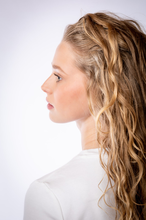 Bullet Models model ID: 20409