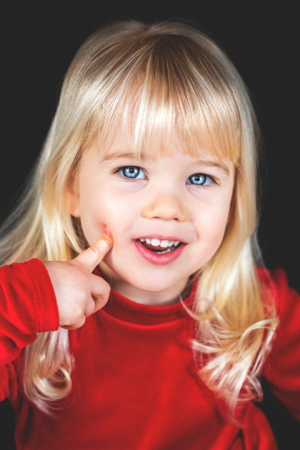 Bullet Models model ID: 17317