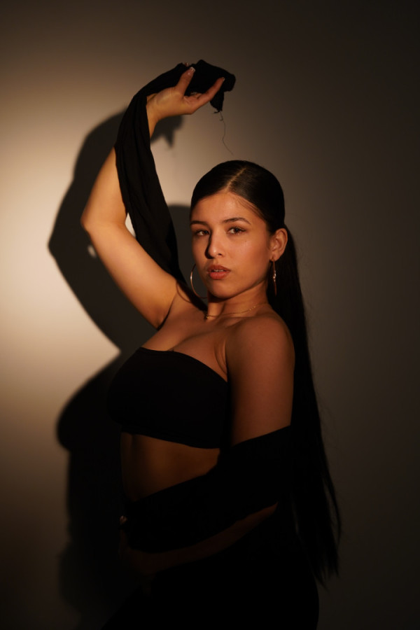 Bullet Models model ID: 20099