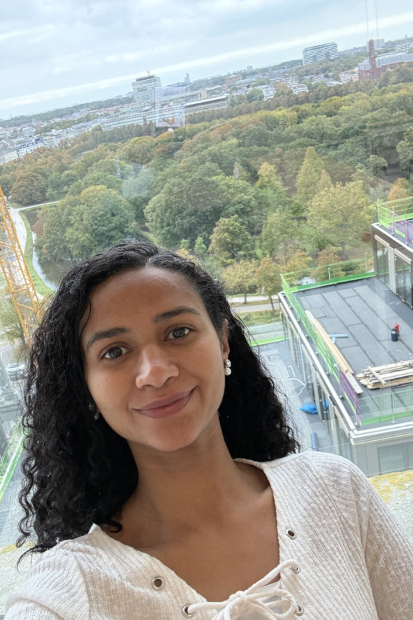 Bullet Models model ID: 20256