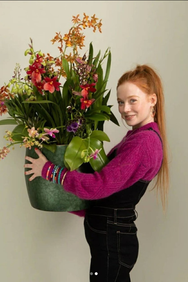 Bullet Models model ID: 19581