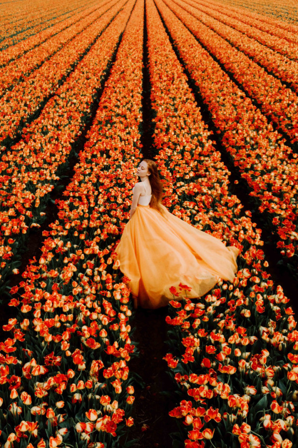 Bullet Models model ID: 19581