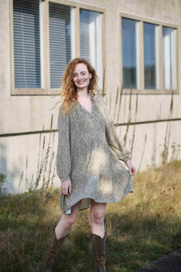 Bullet Models model ID: 5886