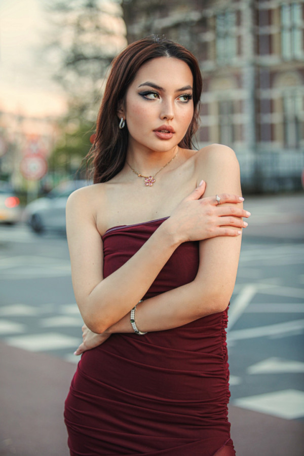 Bullet Models model ID: 15946