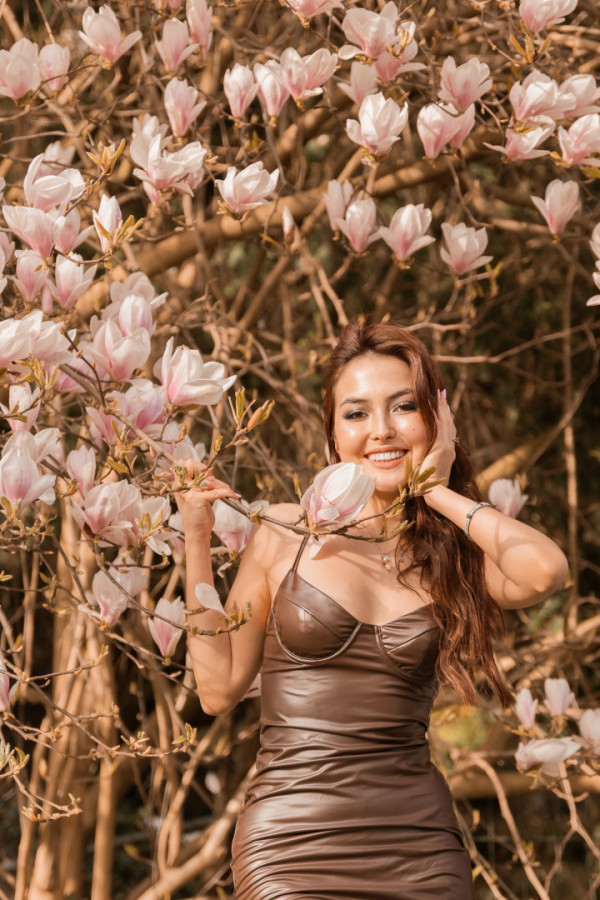 Bullet Models model ID: 15946