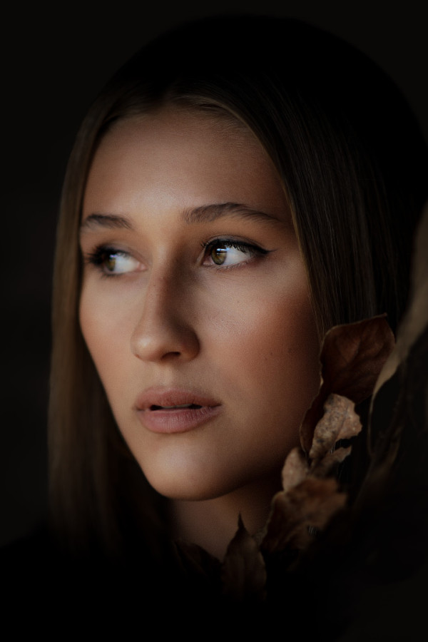 Bullet Models model ID: 20435