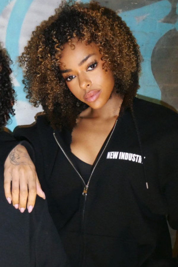 Bullet Models model ID: 18582