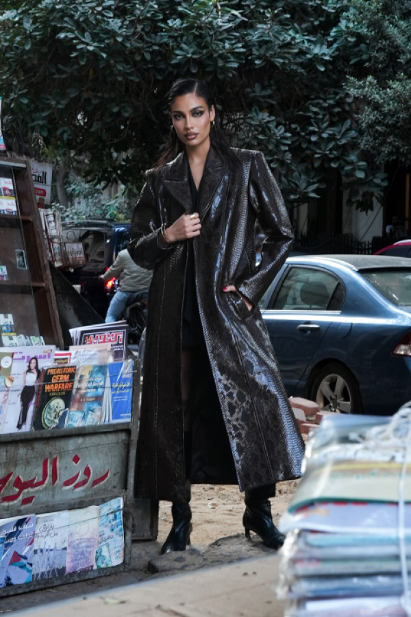 Bullet Models model ID: 18414