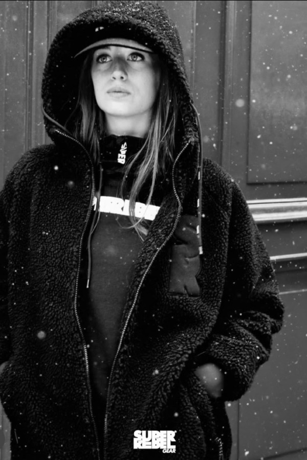 Bullet Models model ID: 17595