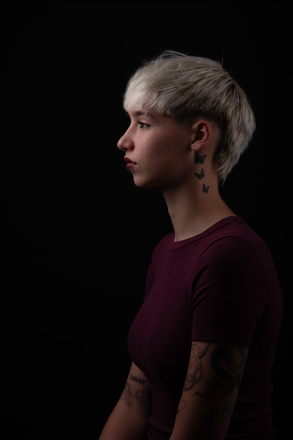 Bullet Models model ID: 20445