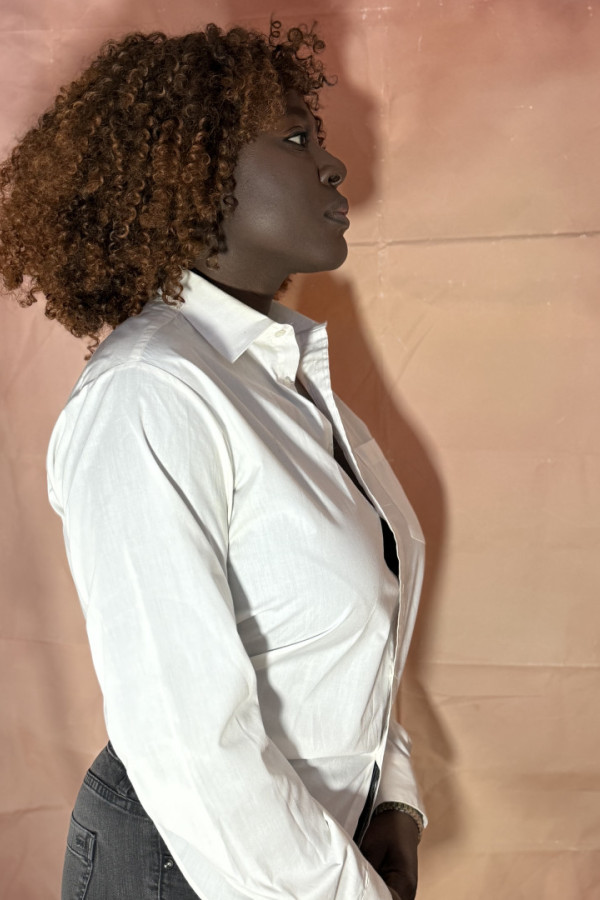 Bullet Models model ID: 20019