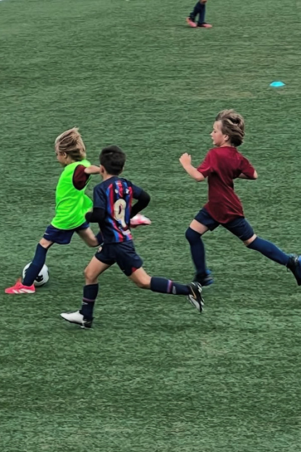 Bullet Models model ID: 3203