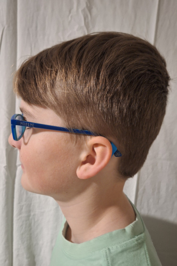 Bullet Models model ID: 17607