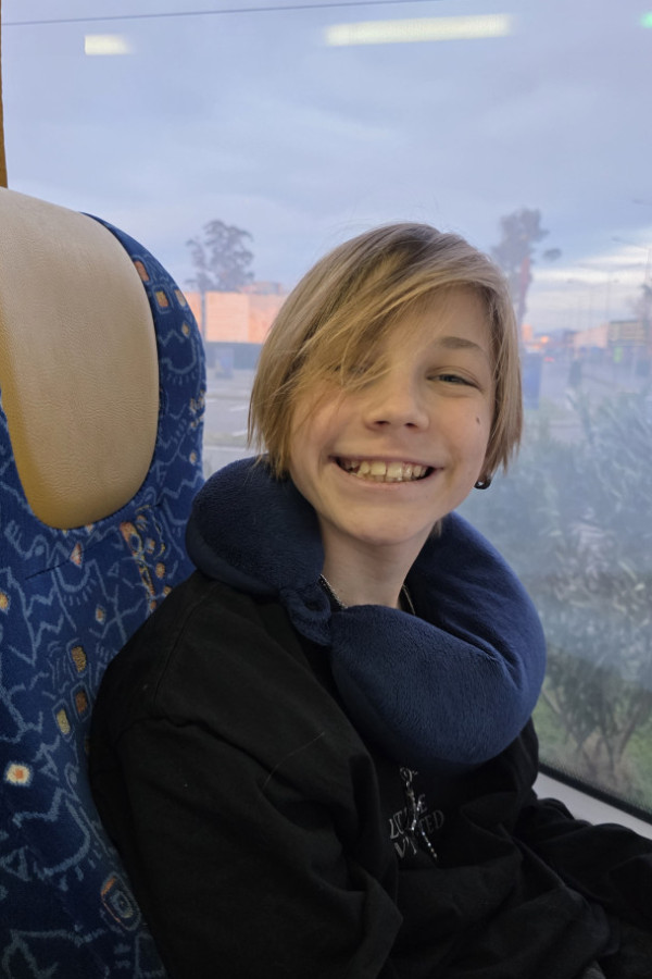 Bullet Models model ID: 19004