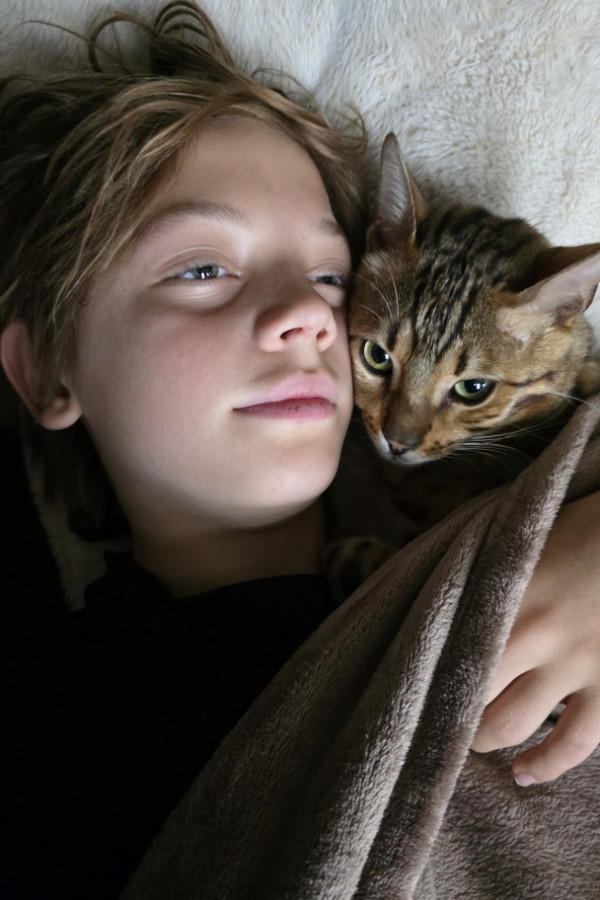 Bullet Models model ID: 19004