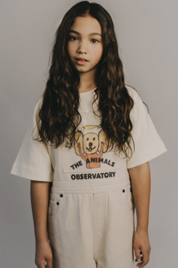 Bullet Models model ID: 19853