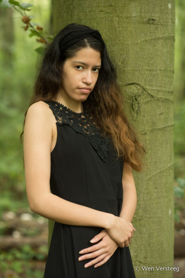 Bullet Models model ID: 15790