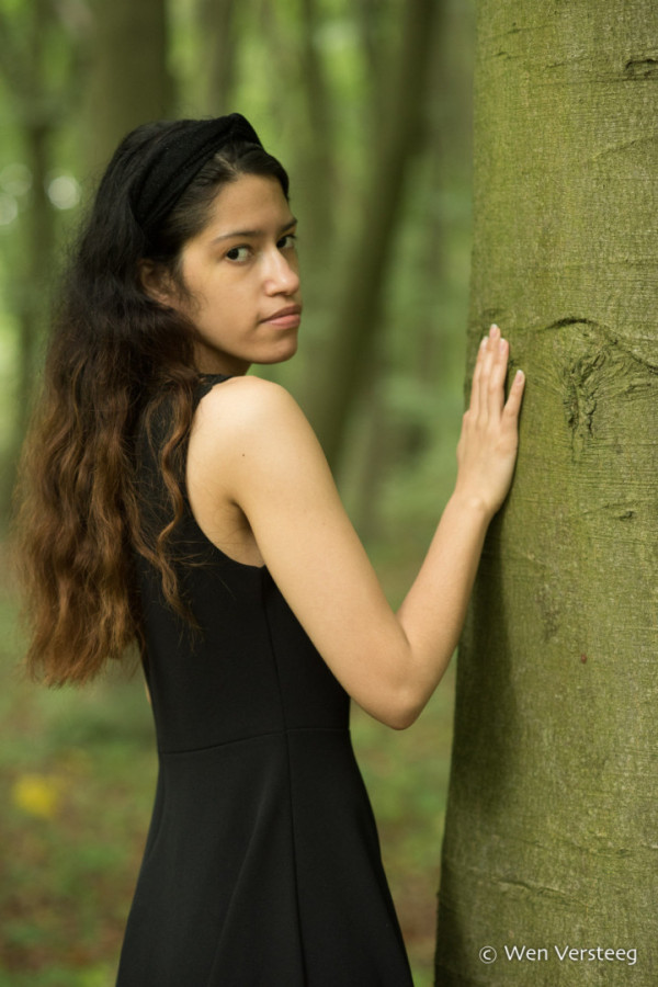 Bullet Models model ID: 15790