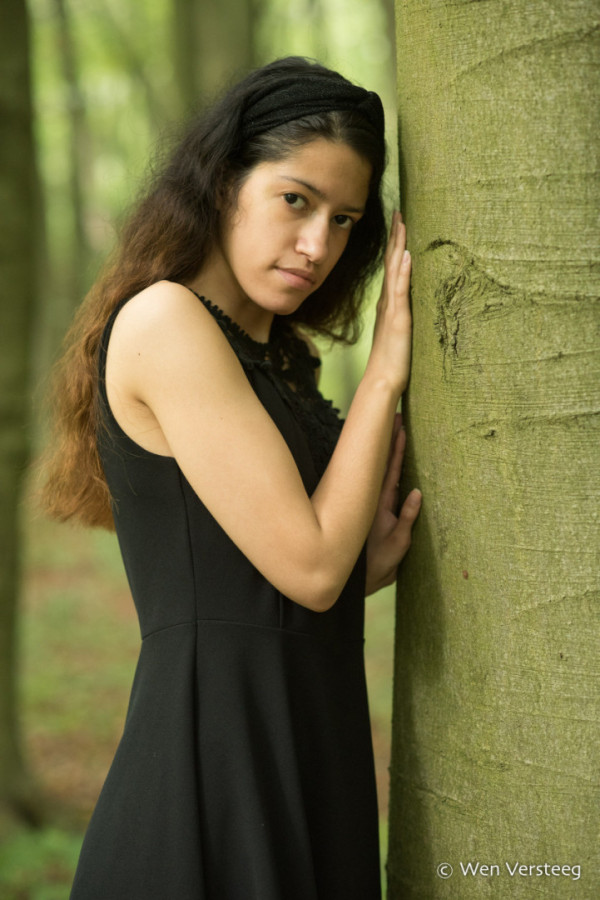 Bullet Models model ID: 15790